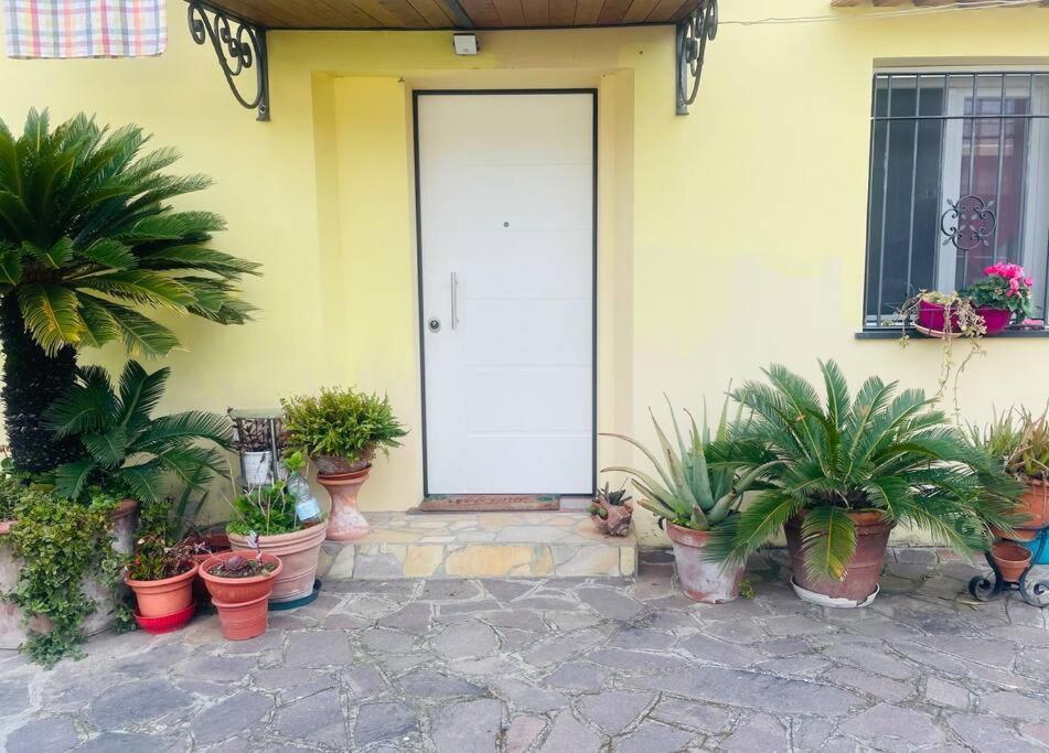 Giorgio'S Apartment Pisa Fiocina Экстерьер фото